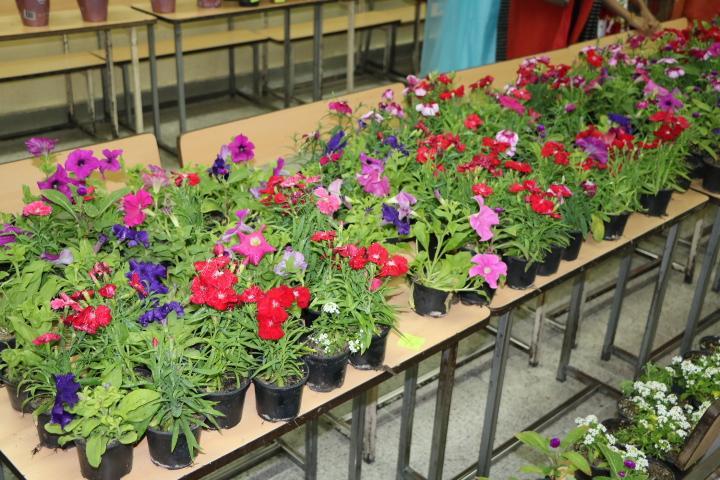Flower sale